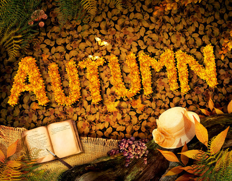 Autumn design - Dear diary