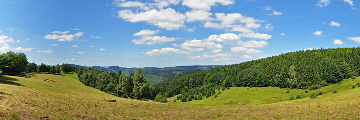Fototapeta na wymiar Panoramafoto Thüringer Wald