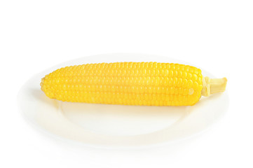 Corn cob
