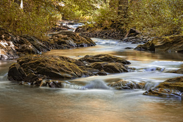 Die Selke im Harz ein naturbelassener Fluss