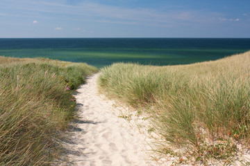 Weg zum Strand durch Dünen bei Kampen auf Sylt an der Nordsee