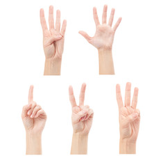 Counting woman hands (1 to 5) isolated on white background