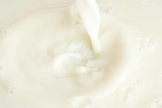 Organic White Milk Texture