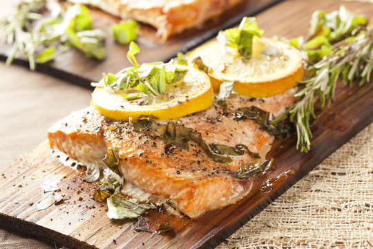 Fresh Grilled Salmon