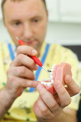 Dentist holds jaw and tests it using tool in dental clinic