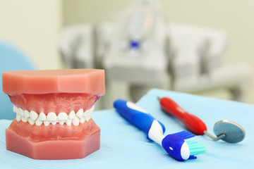 Fototapeta na wymiar Sztuczna szczęka, szczoteczki do zębów i dentystyczne narzędzia są na stole