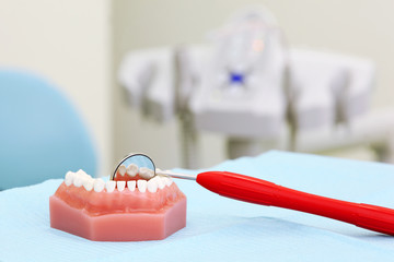 Fototapeta na wymiar Sztuczna szczęka i czerwony Lustro dentystyczne są na stole w klinice