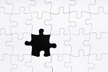 Jigsaw Puzzle Missing Piece