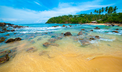 Tropical beach