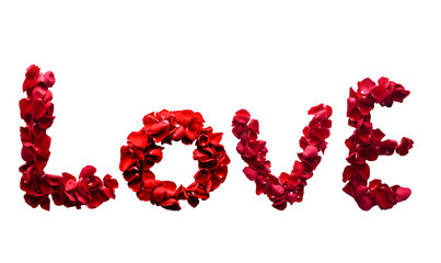 Alphabet letter LovE made from red petals rose isolated on a whi
