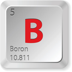 Boron button