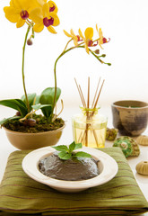 Relaxation Spa Concept