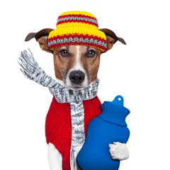 winter dog scarf and hat