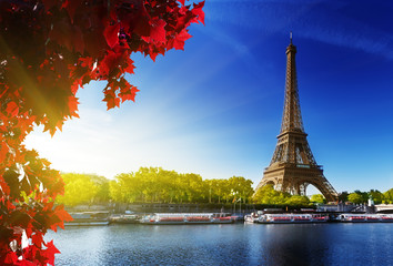 Fototapeta color of  autumn in Paris obraz