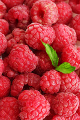 ripe raspberries background.with mint