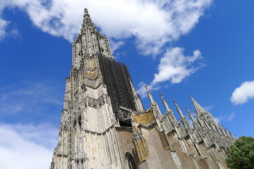 ulmer münster