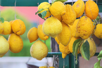 Große Zitronen an einem Marktstand