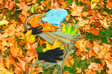 Autumn clothing