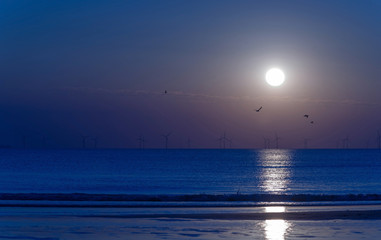 Fototapeta premium Blue sunset at sea in summer