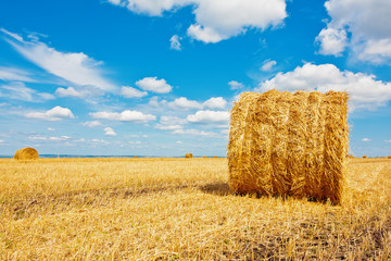 Fototapeta premium Hay bales on the field