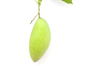 Mango on white paper