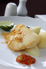 Snapper steak