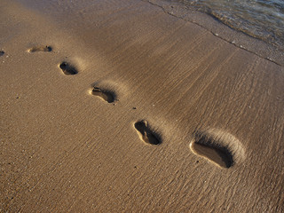 Fototapeta na wymiar Ślady na piasku