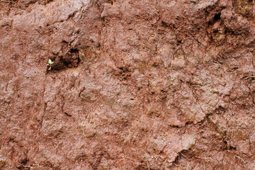 soil layers