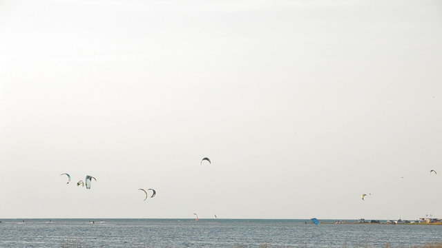 Lots of paragliders seen from the shore on a sunny day