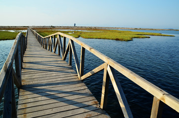 Obraz premium wooden bridge in a lake near to the sea