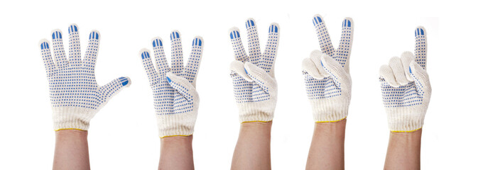 Hands in working cotton gloves