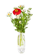 Bouquet from red daisy-gerbera and white aster in glass vase iso
