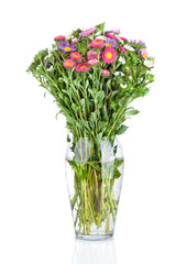 multi-coloured  asters flowers  bouquet in glass vase isolated o