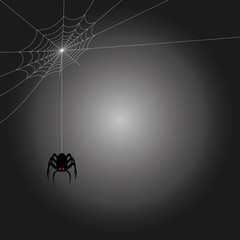 Hintergrund Halloween Spinne