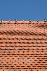 Red roof and blue sky