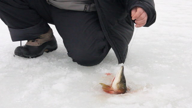 Fishing on ice, pike