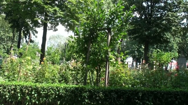 giardino