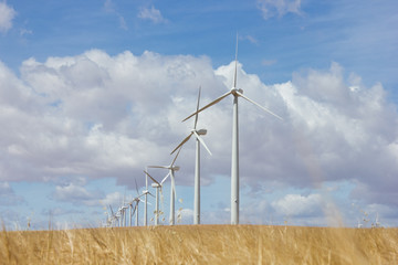Turbines in a windfarm