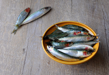 Fresh sardines in a bowl