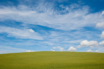 green field and blue cloudy sky background