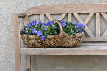Panchina e cesto di fiori