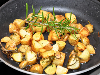 biobratkartoffel