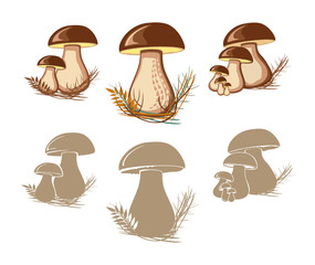 Cep. Edible mushrooms.