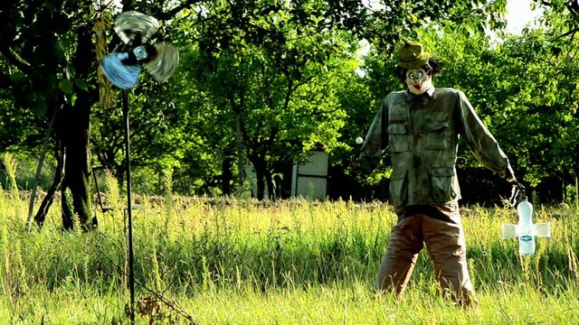 scarecrow and pinwheel