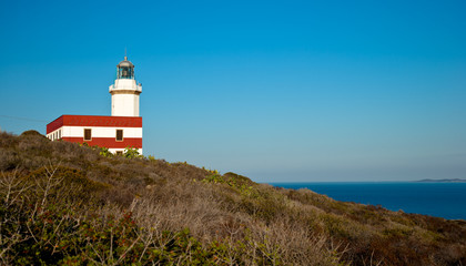 Fototapeta na wymiar Lighthouse in giglio island
