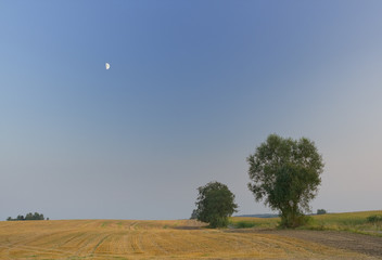 moon on blue sky. dusk over fields
