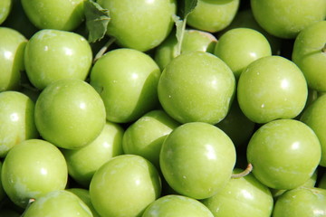 Lots of apples