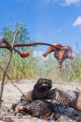 Roasting chicken meat and sausages on campfire