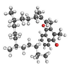 Vitamin K1 molecule