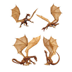 Beautiful Dragons on a White Background